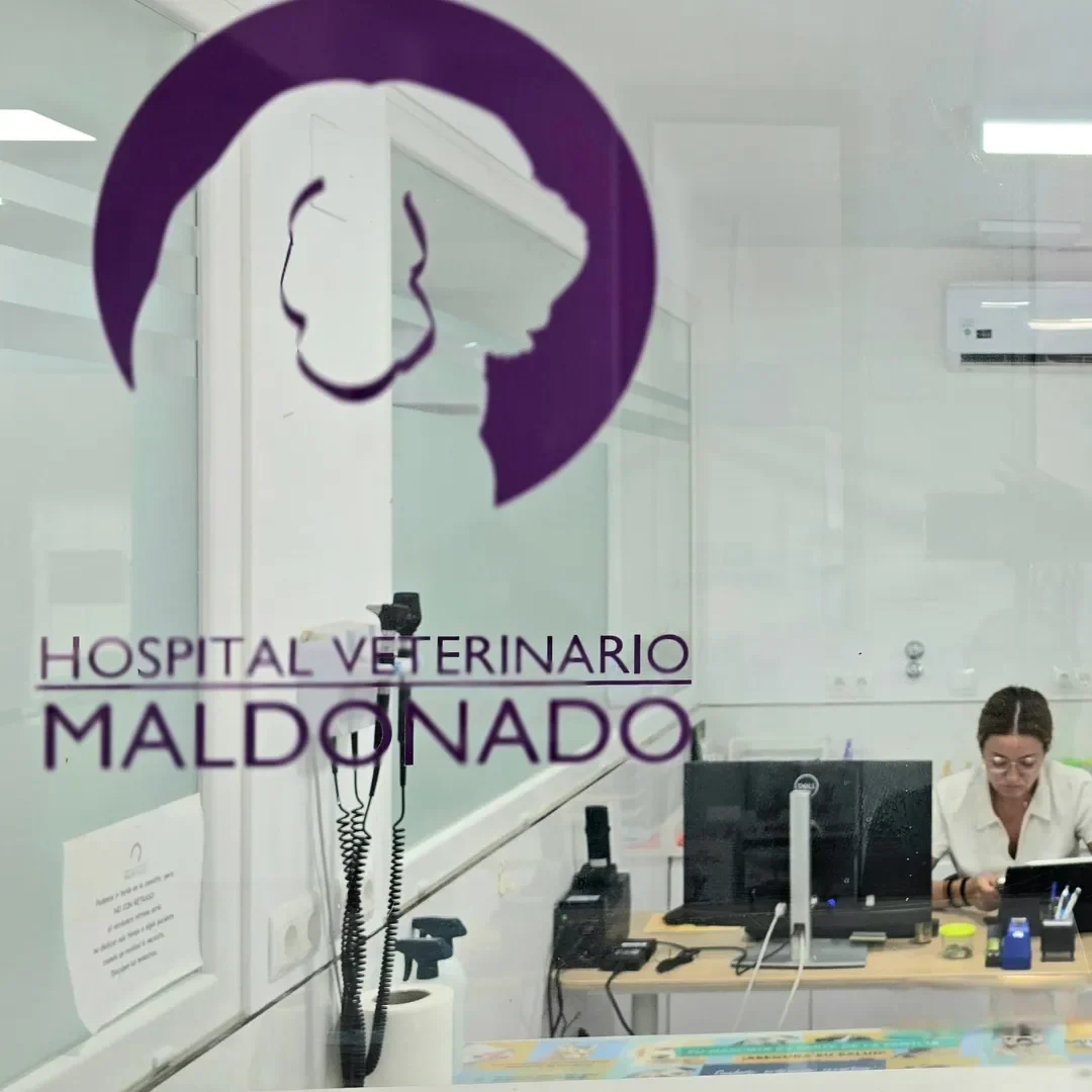 Estudio Create Agencia de Marketing Digital Portfolio (1)