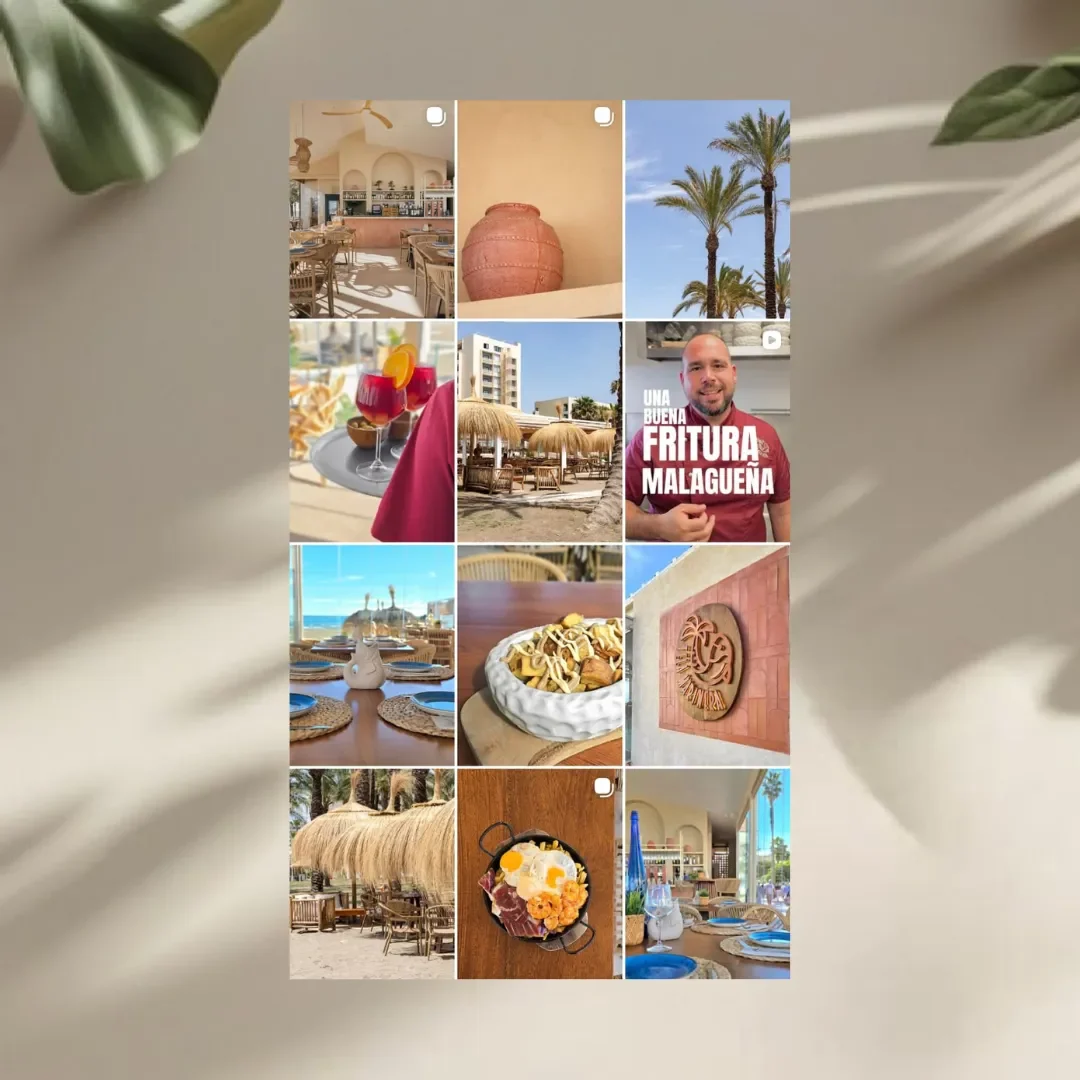 Estudio Create Agencia de Marketing Digital Portfolio (7) (1)