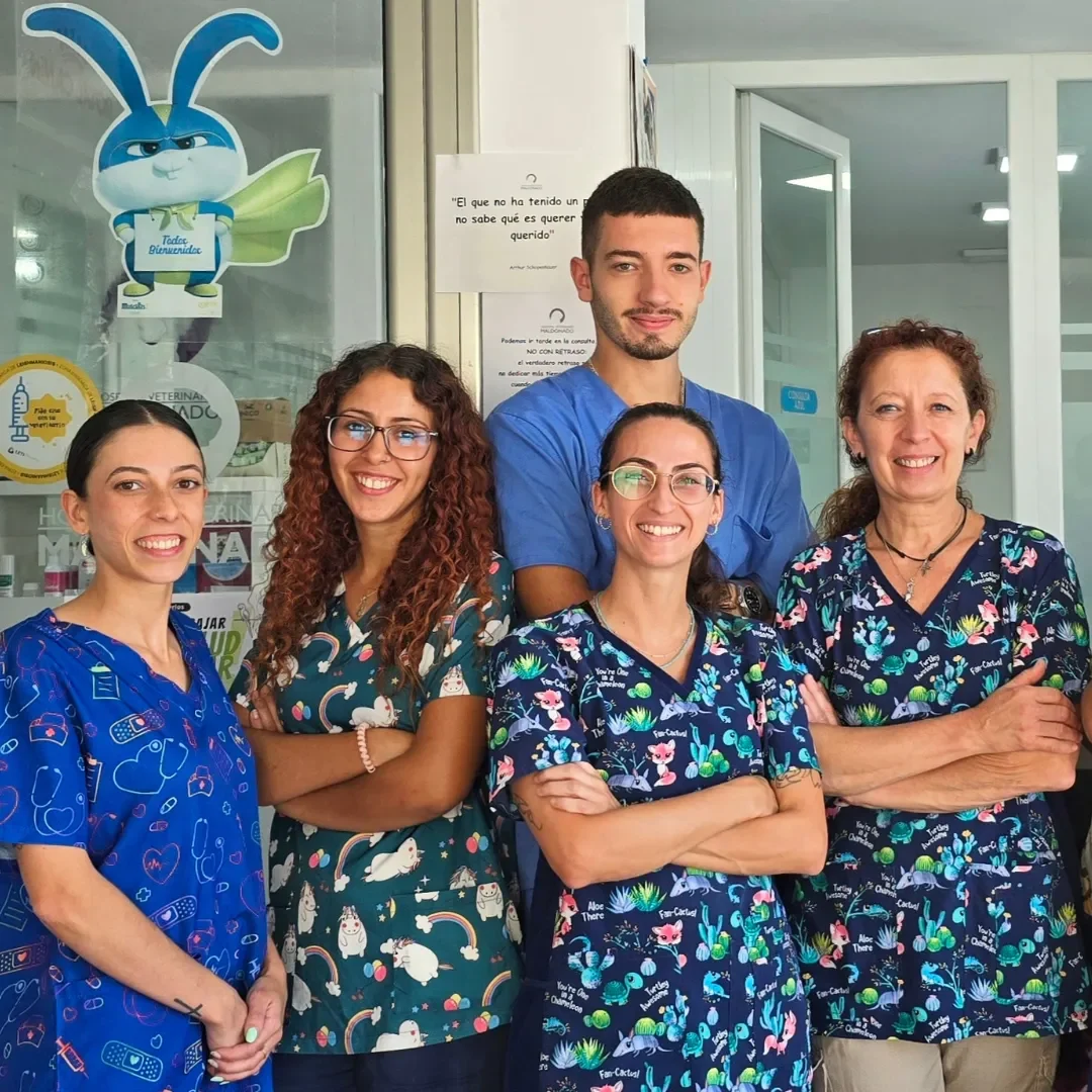 Estudio Create Agencia de Marketing Digital Portfolio Hospital Veterinario Maldonado (19)