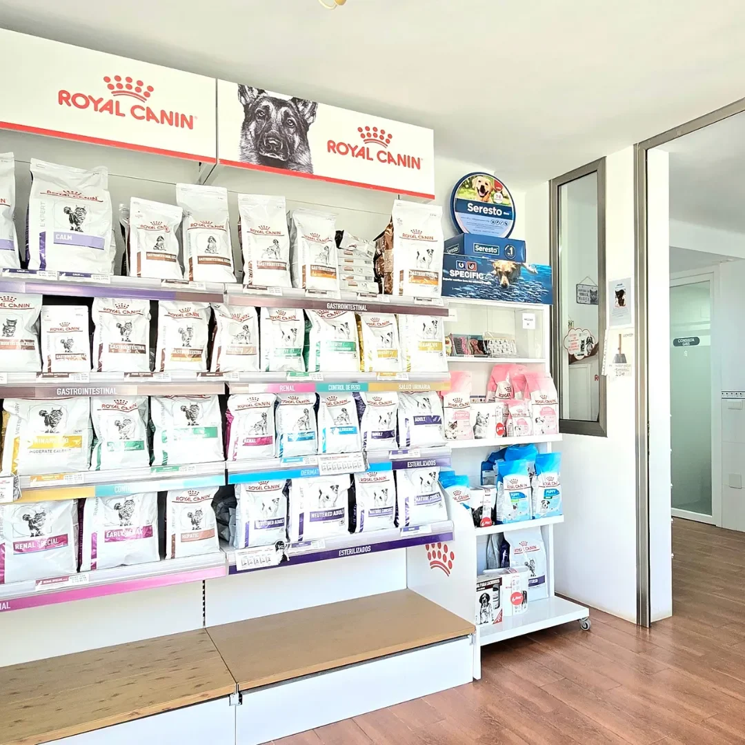 Estudio Create Agencia de Marketing Digital Portfolio Hospital Veterinario Maldonado (9)