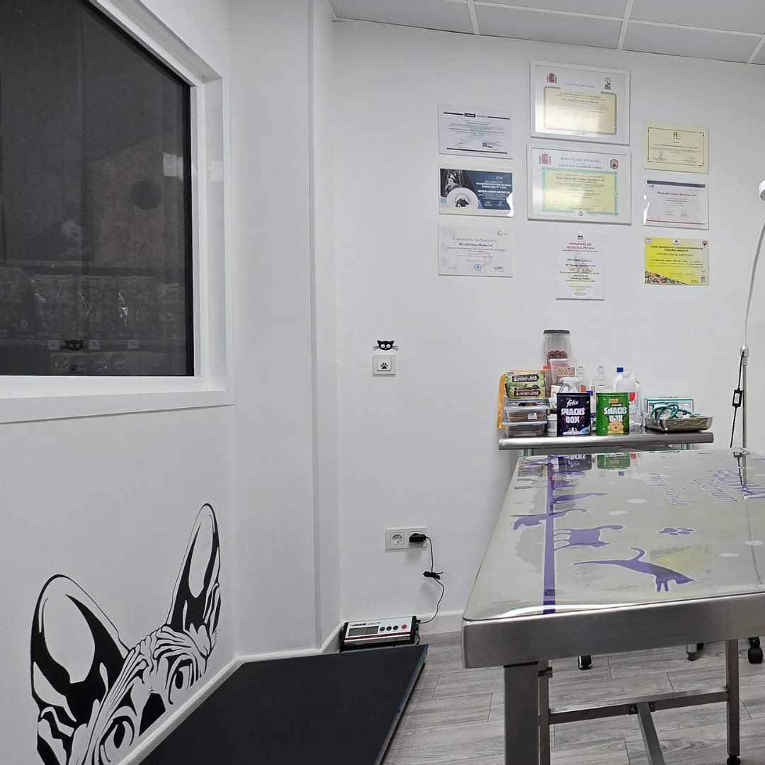 Estudio Create Agencia de Marketing Digital Portfolio Sphynx (1)