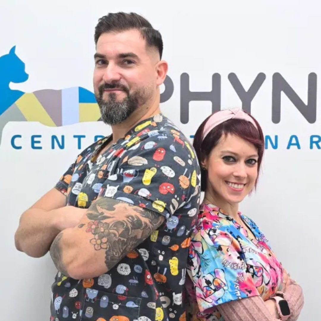 Estudio Create Agencia de Marketing Digital Portfolio Sphynx (10)