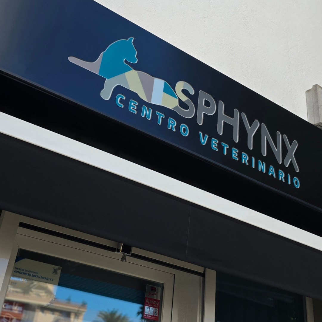 Estudio Create Agencia de Marketing Digital Portfolio Sphynx (11)