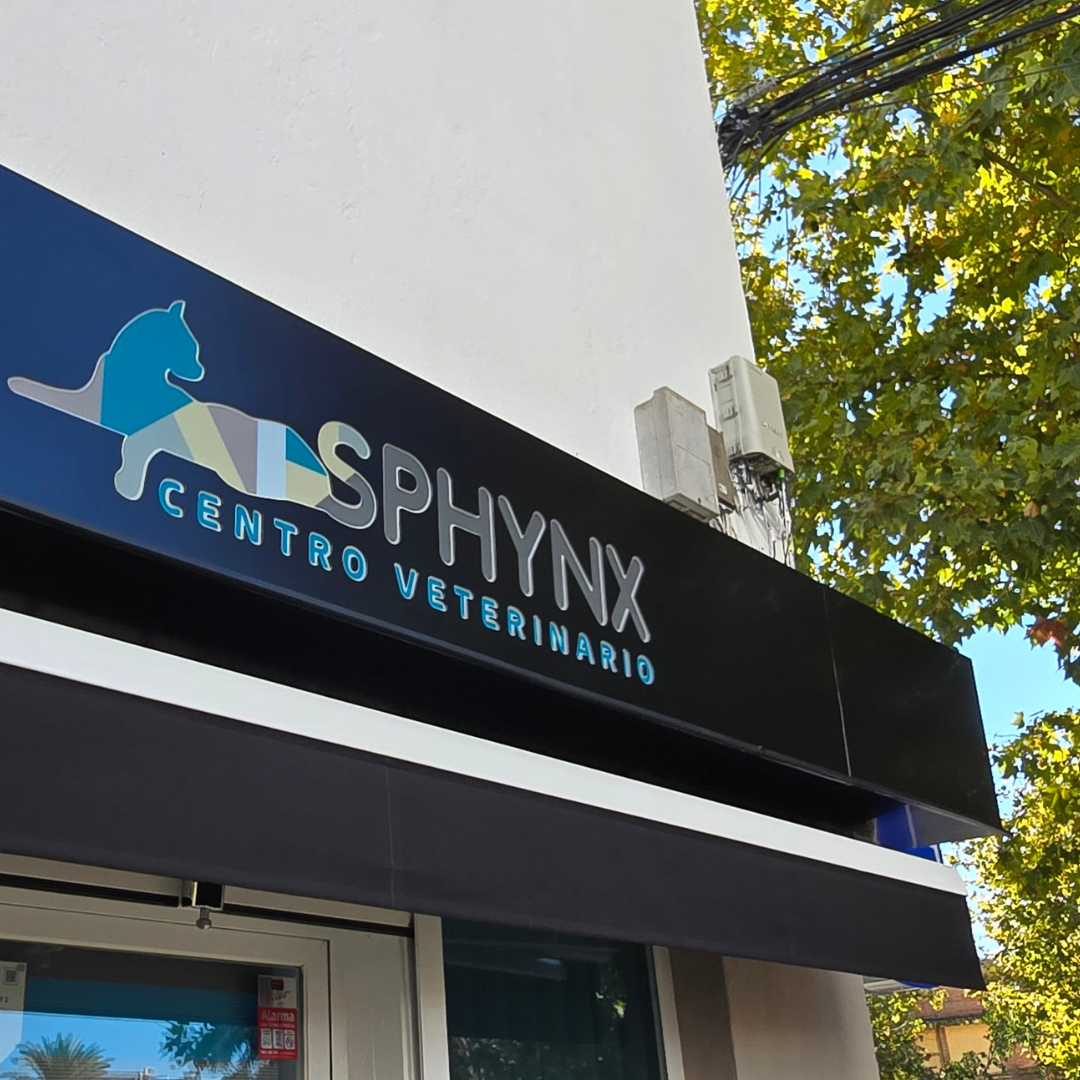 Estudio Create Agencia de Marketing Digital Portfolio Sphynx (13)