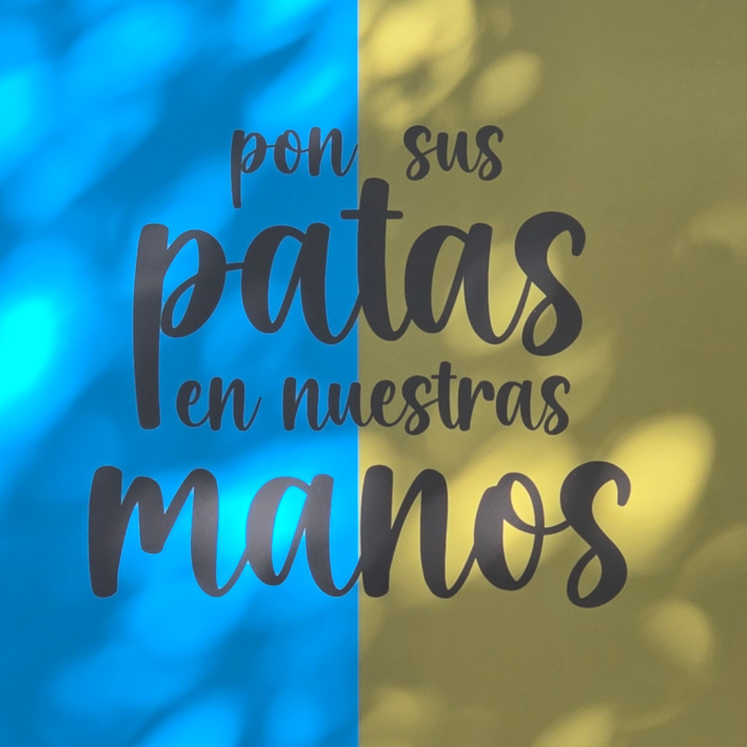 Estudio Create Agencia de Marketing Digital Portfolio Sphynx (14)