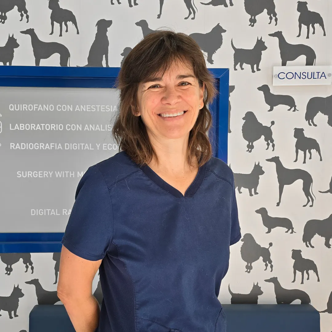 Estudio Create Agencia de Marketing Digital Portfolio Equus Can (12)