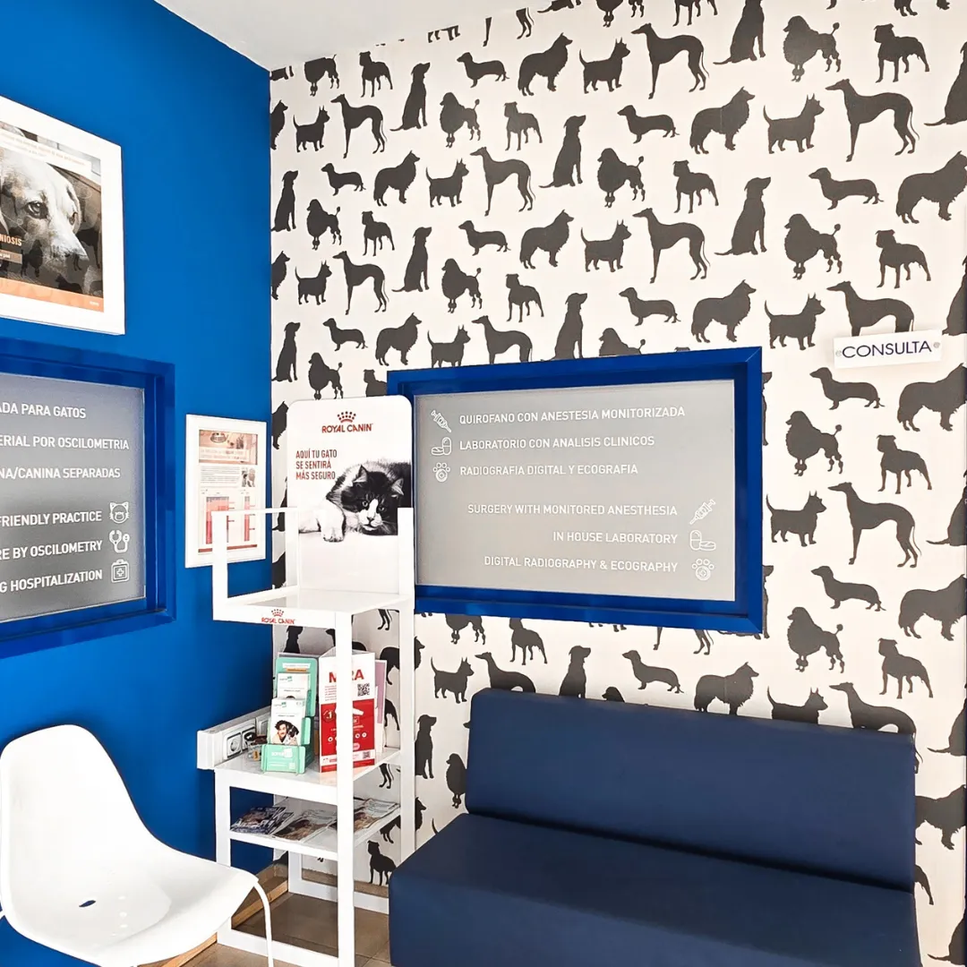 Estudio Create Agencia de Marketing Digital Portfolio Equus Can (19)