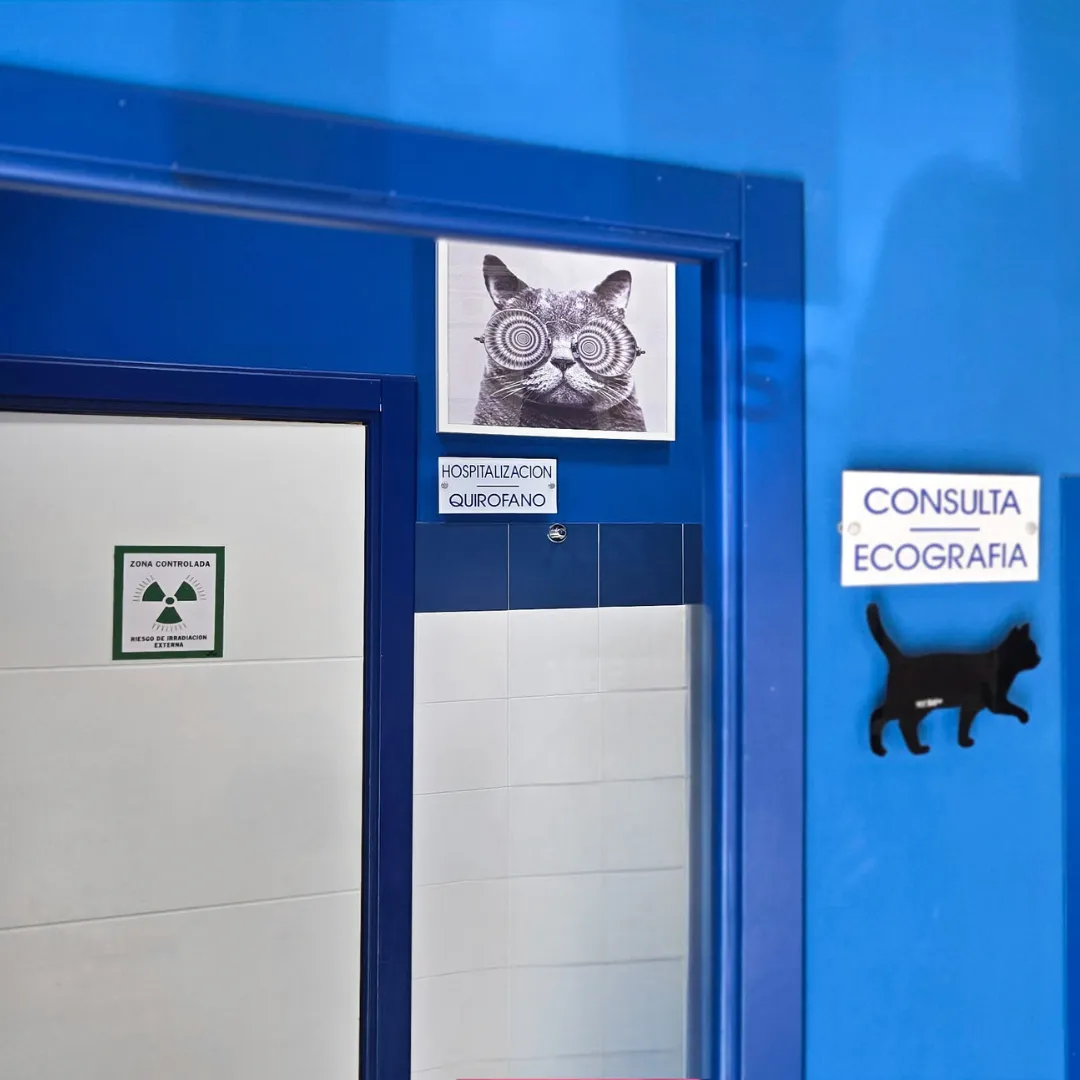 Estudio Create Agencia de Marketing Digital Portfolio Equus Can (20)